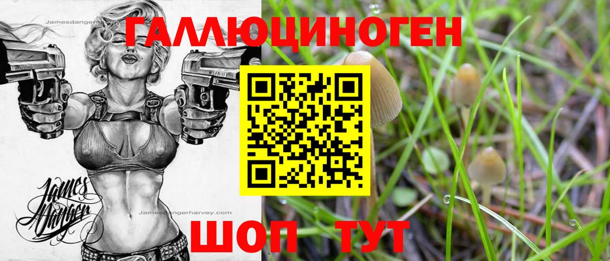 купить  сайты  Псилоцибиновые грибы GOLDEN TEACHER  Вход с VPN  Псилоцибиновые грибы ЛСД  Камень-на-Оби 
